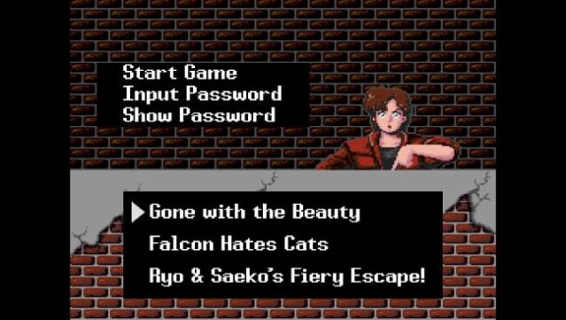City Hunter Gameplay Screenshot