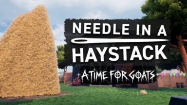 Needle In A Haystack - A Time For Goats Free Download